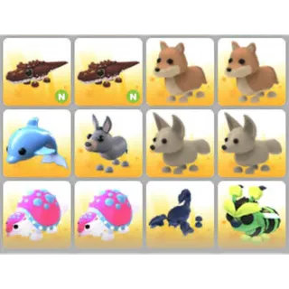 BUNDLE PET X12