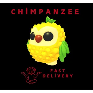 Pineapple Owl