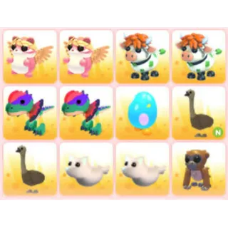 BUNDLE PET X12