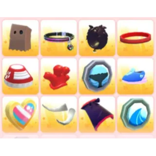 BUNDLE PET WEAR X12