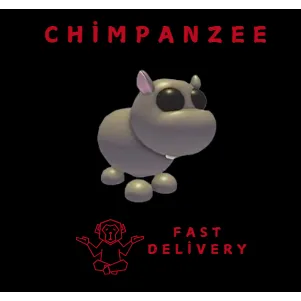 HIPPO 
