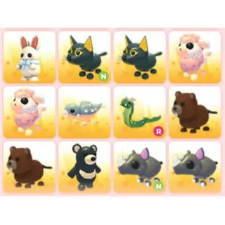 BUNDLE PET X12