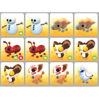 BUNDLE PET X12