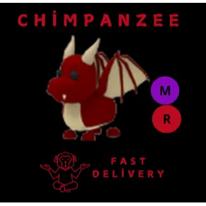 DRAGON MR