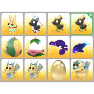 BUNDLE PET X12