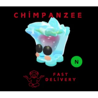 Berry Cool Cube neon