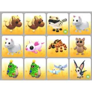 BUNDLE PET X12