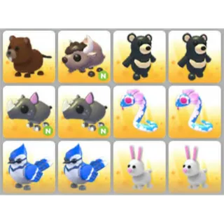 BUNDLE PET X12