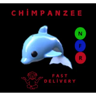 DOLPHIN NFR