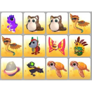BUNDLE PET X12