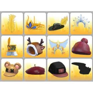 BUNDLE PET WEAR X12