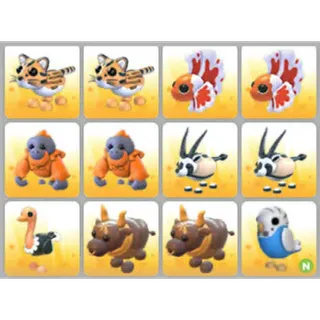 BUNDLE PET X12