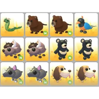 BUNDLE PET X12