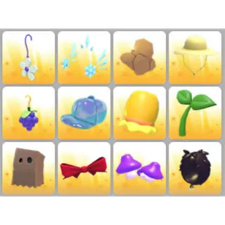 BUNDLE PET WEAR X12