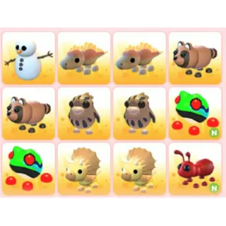BUNDLE PET X12