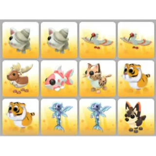 BUNDLE PET X12
