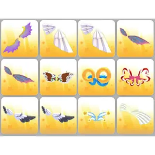 BUNDLE PET WEAR X12