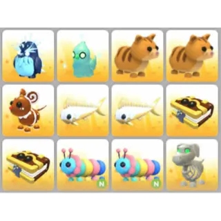 BUNDLE PET X12