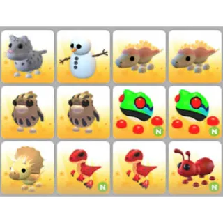 BUNDLE PET X12