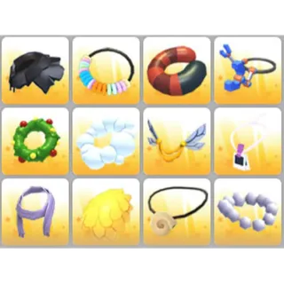 BUNDLE PET WEAR X12