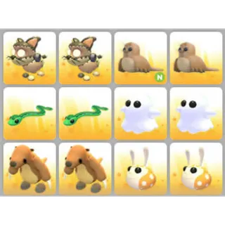 BUNDLE PET X12