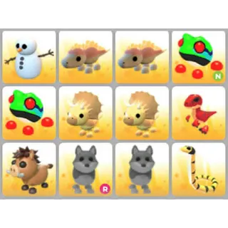 BUNDLE PET X12
