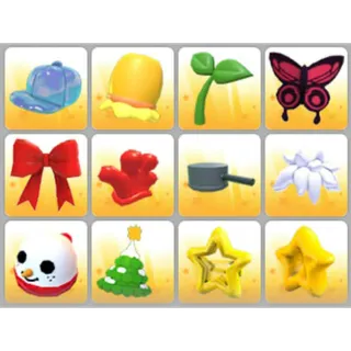 BUNDLE PET WEAR X12