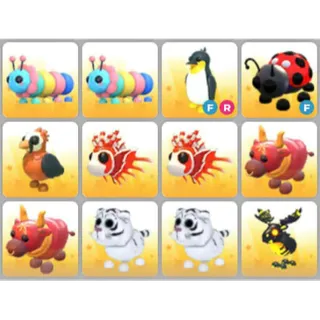 BUNDLE PET X12