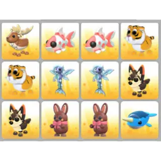 BUNDLE PET X12