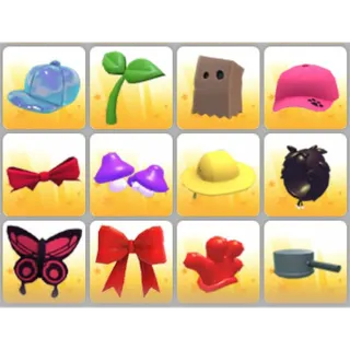 BUNDLE PET WEAR X12