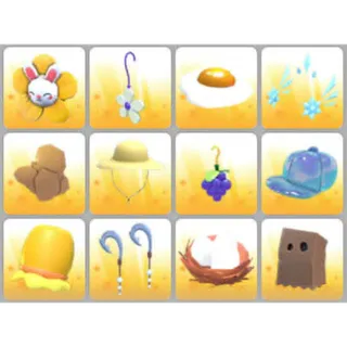 BUNDLE PET WEAR X12