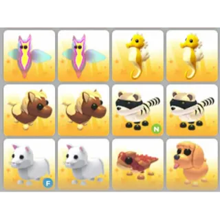 BUNDLE PET X12