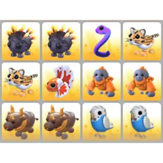 BUNDLE PET X12