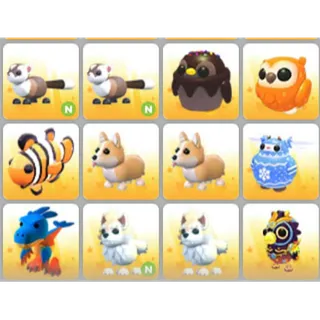 BUNDLE PET X12