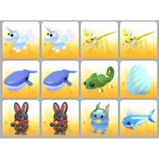 BUNDLE PET X12