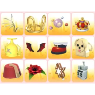BUNDLE PET WEAR X12
