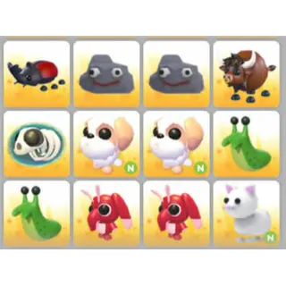 BUNDLE PET X12