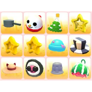 BUNDLE PET WEAR X12