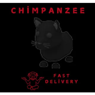 BLACK PANTHER