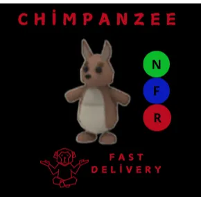 KANGAROO NFR