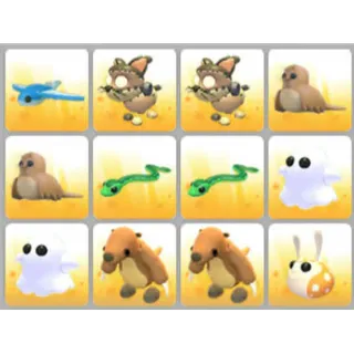 BUNDLE PET X12