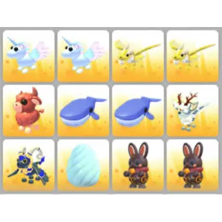 BUNDLE PET X12