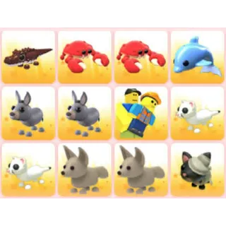 BUNDLE PET X12