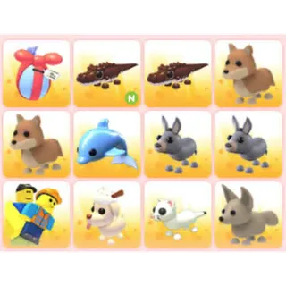 BUNDLE PET X12