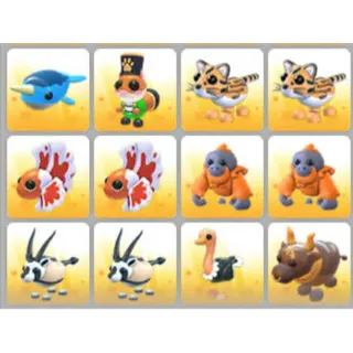 BUNDLE PET X12