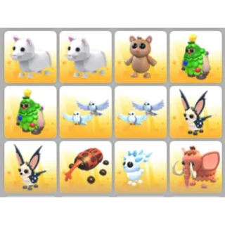 BUNDLE PET X12