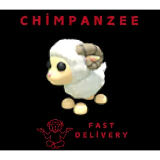 RAM