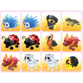 BUNDLE PET X12