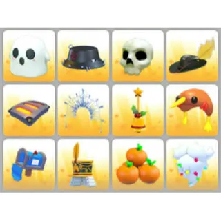 BUNDLE PET WEAR X12
