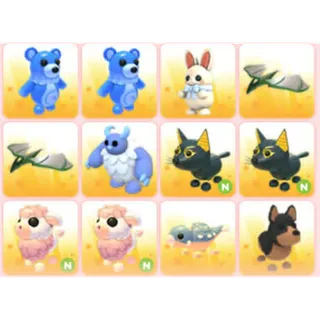 BUNDLE PET X12